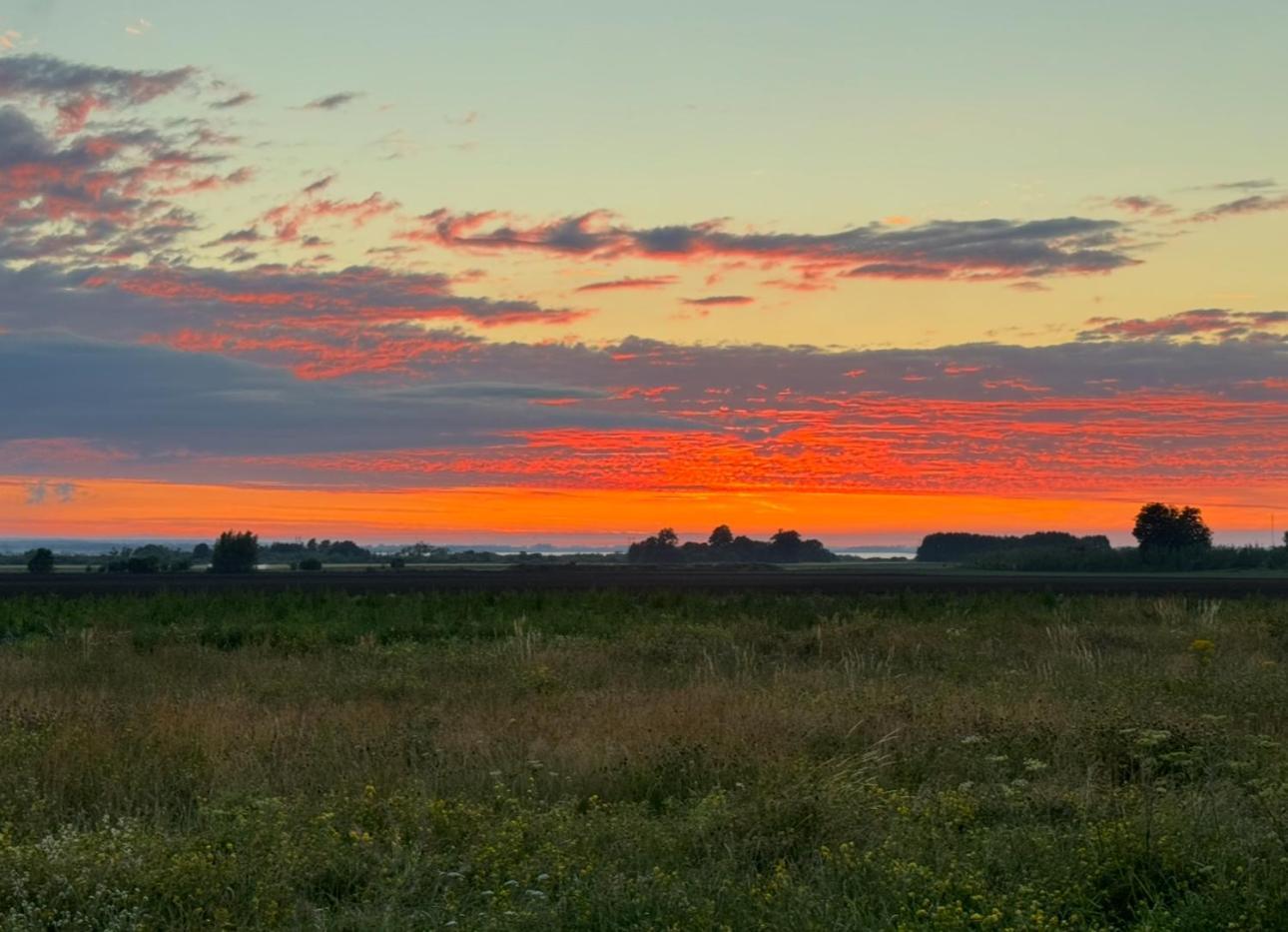Lunagarden Ahus Bagian luar foto