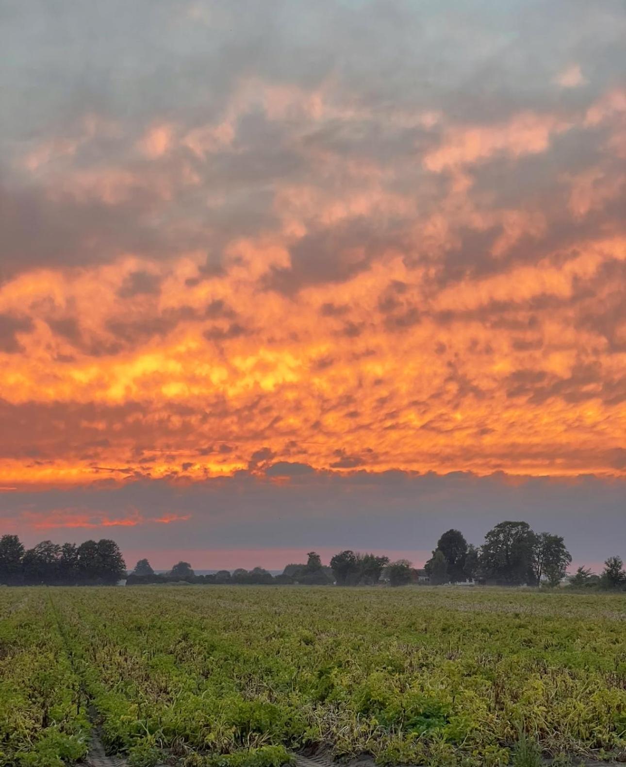 Lunagarden Ahus Bagian luar foto